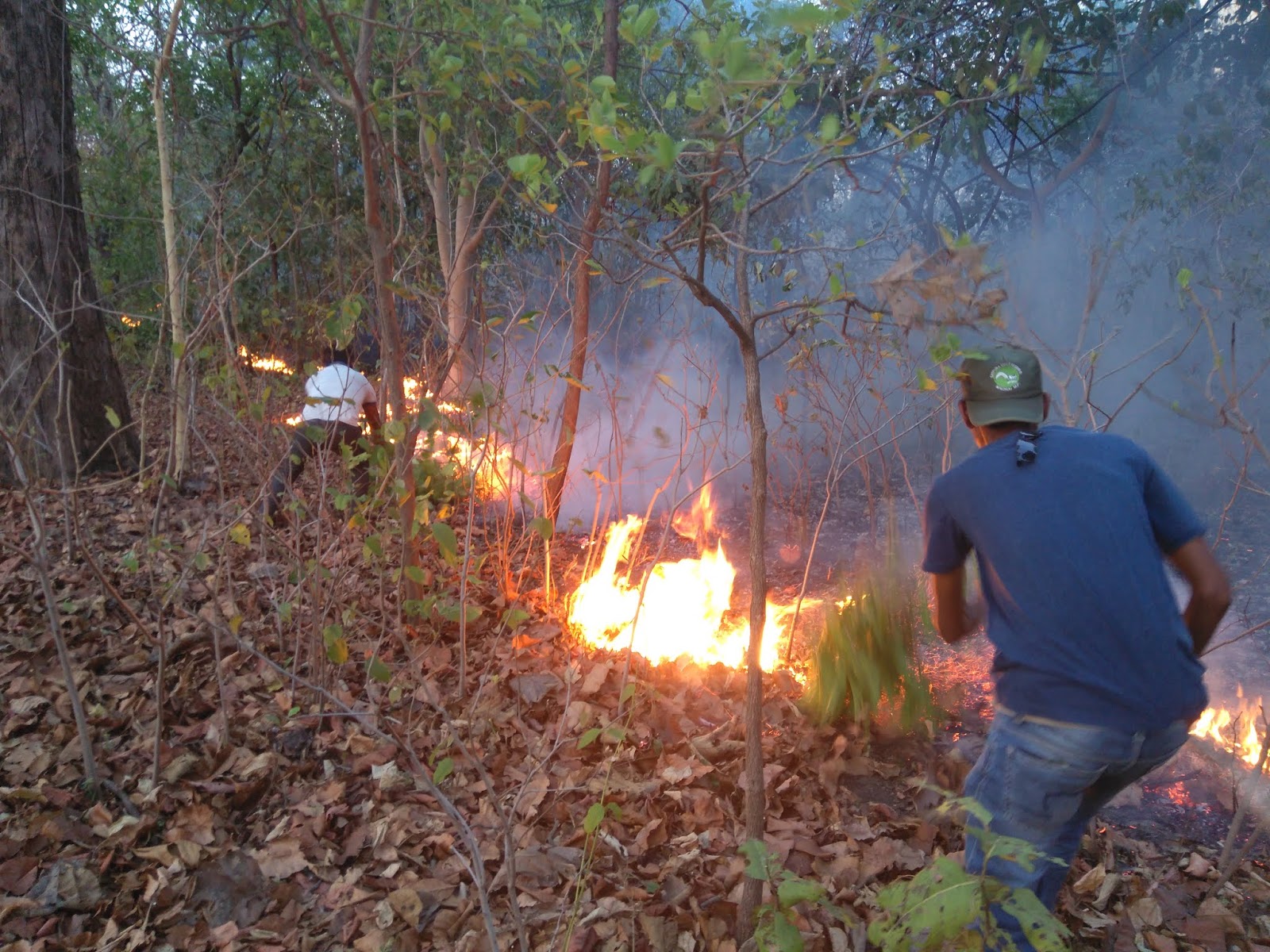 High-resolution camera on tower at Pench Tiger Reserve for AI-based fire detection system"