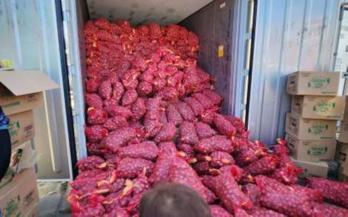 Nagpur Onion
