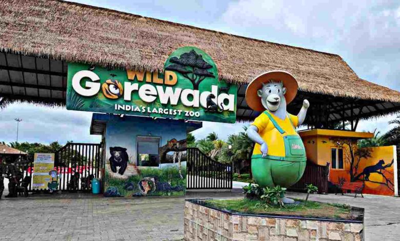 African Safari Gorewada Nagpur: Lions, giraffes, zebras, and more await visitors in this wildlife adventure.