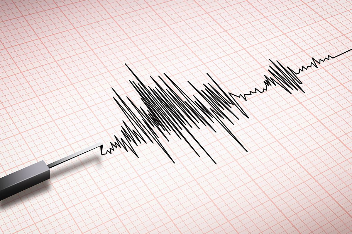 Magnitude | Maharashtra | A seismic graph displaying minor tremors, representing the Nagpur earthquake event.