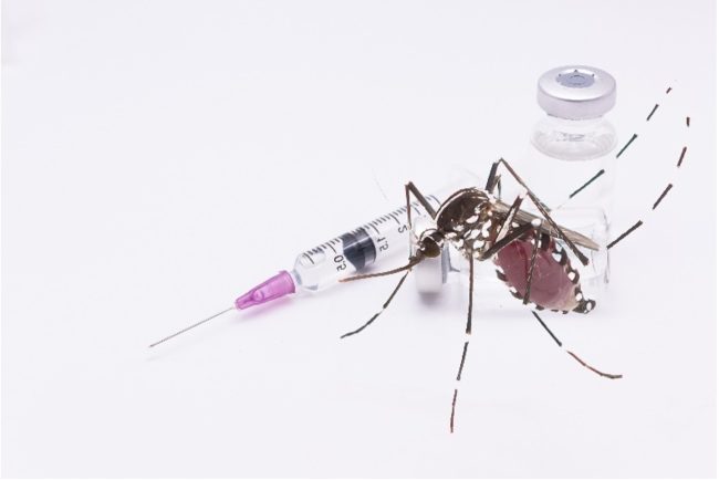 HC Grills NMC on Hospital Bed Shortage as Dengue, Chikungunya Cases Surge