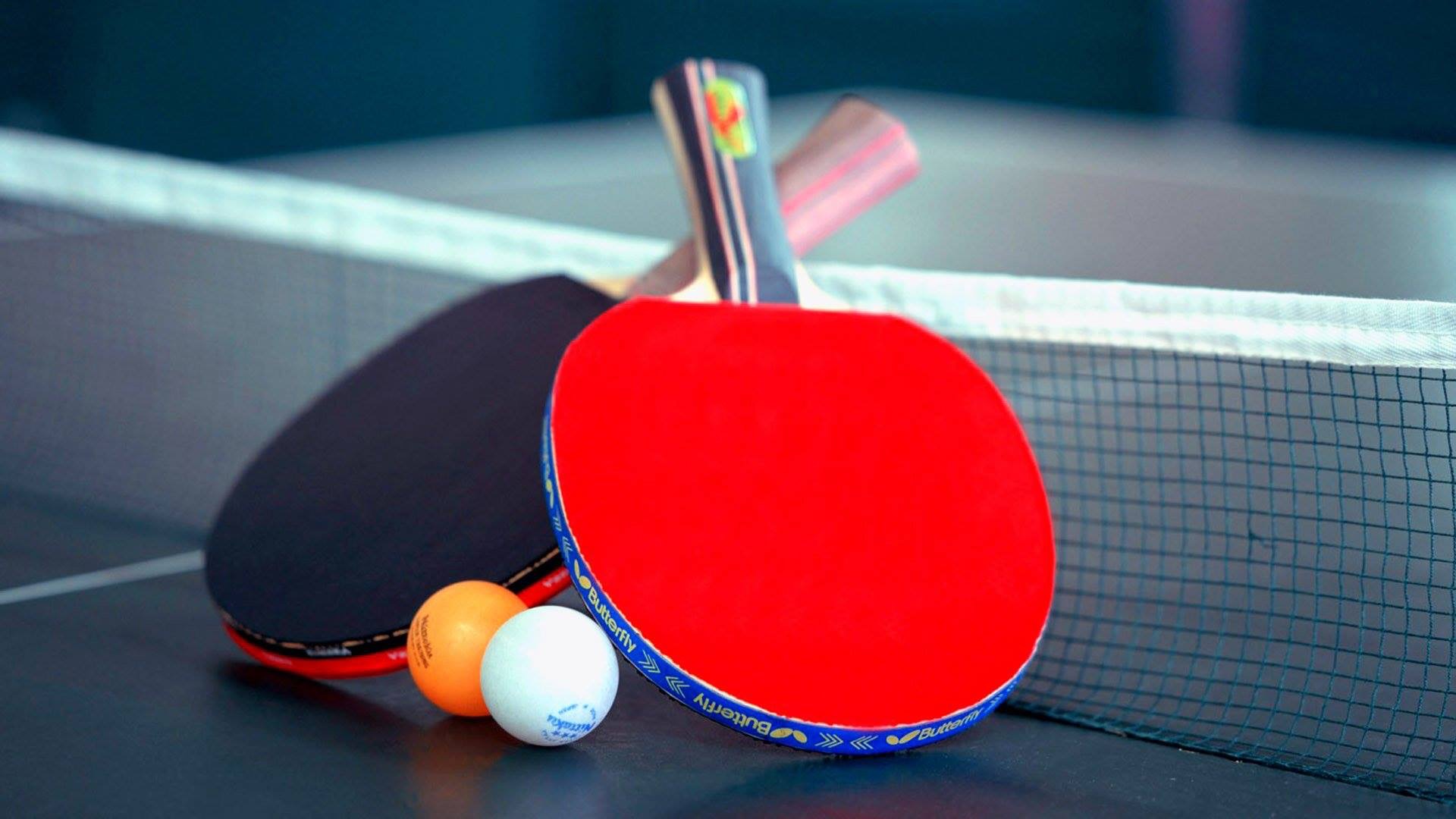 Maharashtra Table Tennis Tournament in Nagpur | Aug 9-13 Event