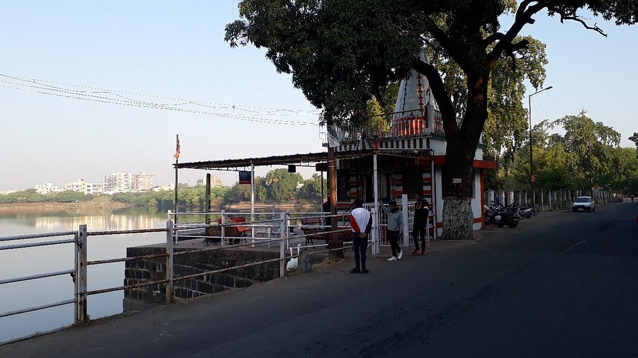 A polluted Sonegaon Lake (Nagpur) with visible sewage contamination affecting aquatic life.