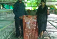 Silk Farming Boom in Nagpur: Farmers Earning ₹1 Lakh Monthly in Extreme Summer