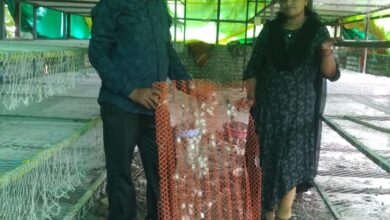 Silk Farming Boom in Nagpur: Farmers Earning ₹1 Lakh Monthly in Extreme Summer