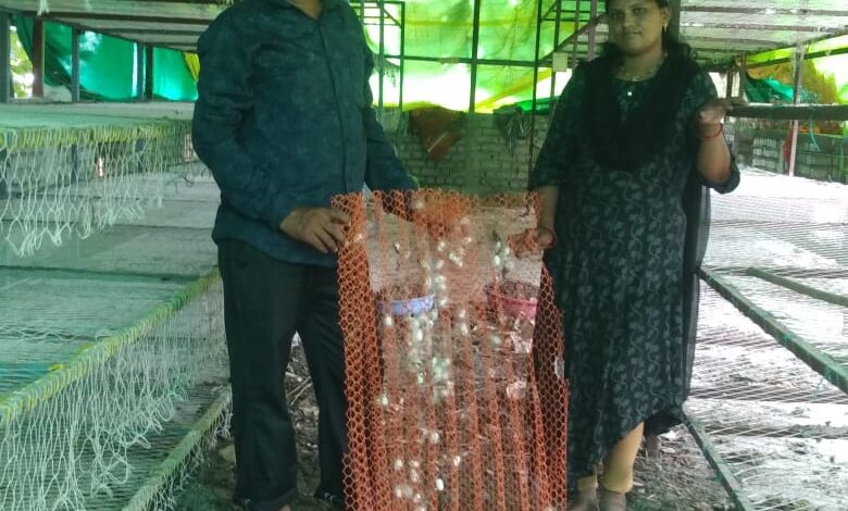 Silk Farming Boom in Nagpur: Farmers Earning ₹1 Lakh Monthly in Extreme Summer