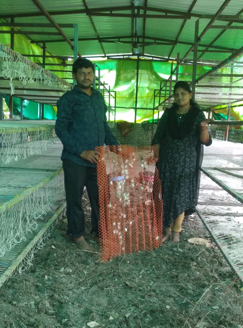 Silk Farming Boom in Nagpur: Farmers Earning ₹1 Lakh Monthly in Extreme Summer