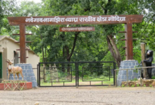 NNTR jungle safari gate entrance