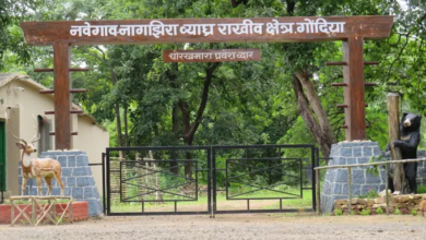 NNTR jungle safari gate entrance