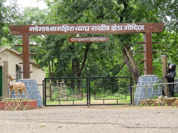 NNTR Jungle Safari Expansion 2026: Four New Gates Opening, Routes, Timings & Complete Visitor Guide