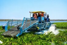 NMC harvester machines Ambazari Lake water hyacinth cleaning Mayor Neeta Thakre Nagpur May 2026