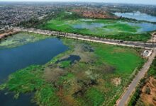 Koradi Lake 550 acres pollution rejuvenation plan Pankaja Munde Bawankule Nagpur Environment Department 2026