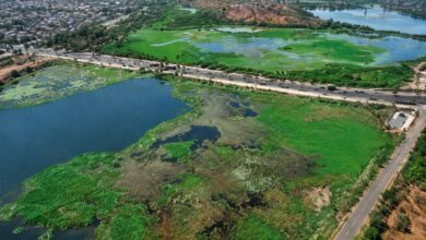 Koradi Lake 550 acres pollution rejuvenation plan Pankaja Munde Bawankule Nagpur Environment Department 2026