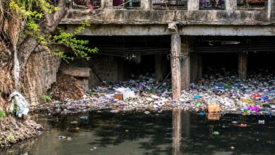 NMC nullah cleanliness drive failing Nagpur monsoon 2026 ground report hyacinth debris choked drains