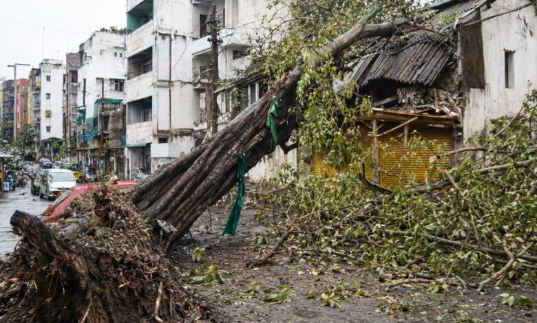 150-year-old peepal heritage tree collapses on Ganjakhet Road Hansapuri Nagpur after road widening excavation damages roots July 23 2026