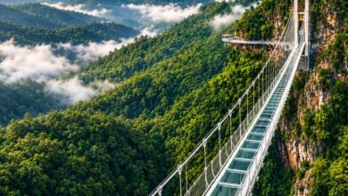 Chikhaldara 407 metre glass skywalk connecting Hurricane Point and Goreghat Point over Melghat Tiger Reserve nears completion August 2026 — two final approvals pending CIDCO Apicon Construction