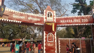Maharajbagh Zoo Nagpur Ticket Price Hiked to Rs 50 in 2026