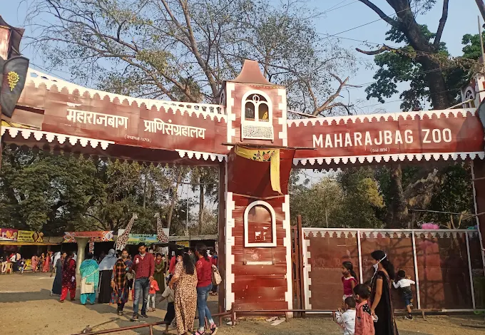 Maharajbagh Zoo Nagpur Ticket Price Hiked to Rs 50 in 2026