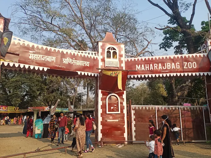 Maharajbagh Zoo Nagpur Ticket Price Hiked to Rs 50 in 2026
